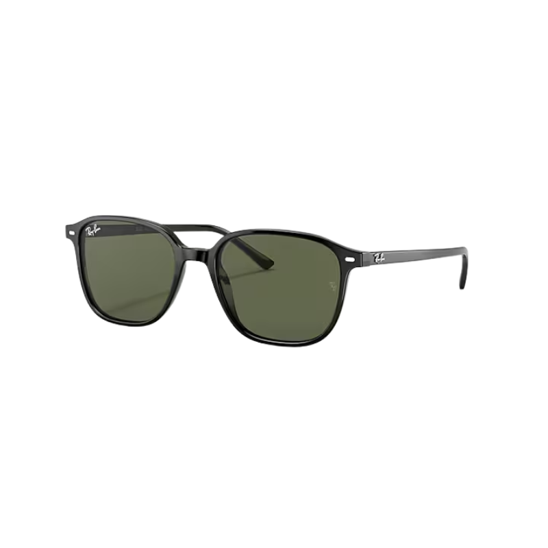 Okulary przeciwsłoneczne Ray Ban LEONARD RB2193 901/31