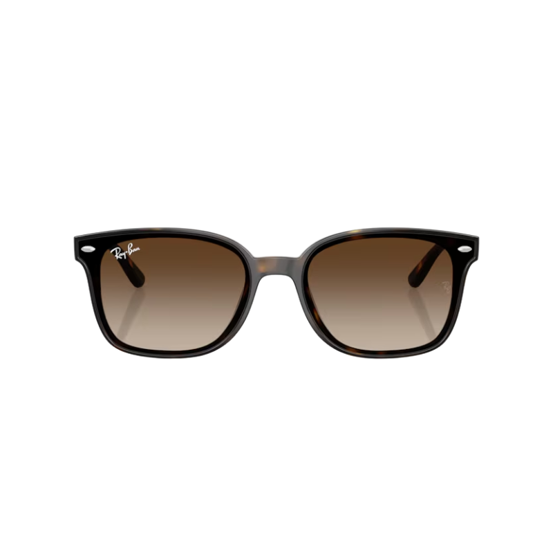 Okulary przeciwsłoneczne Ray Ban RB4461D 71013