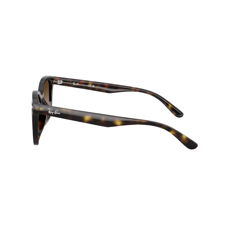 Okulary przeciwsłoneczne Ray Ban RB4461D 710/13