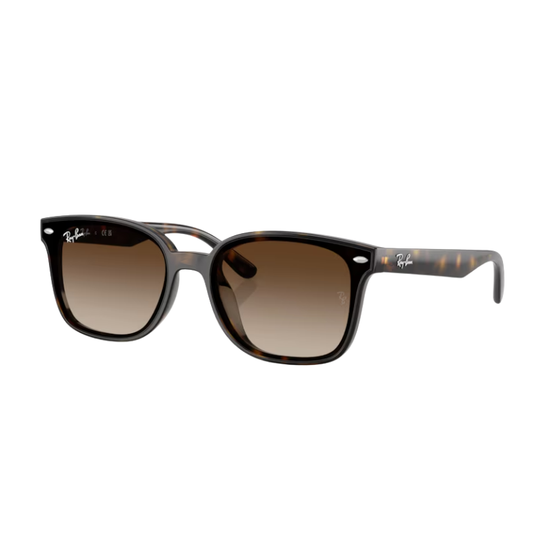 Okulary przeciwsłoneczne Ray Ban RB4461D 710/13